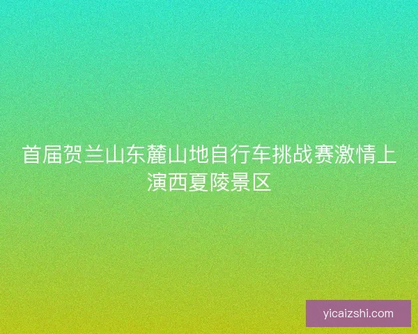 首届贺兰山东麓山地自行车挑战赛激情上演西夏陵景区 首届贺兰山东麓山地自行车挑战赛激情上演西夏陵景区